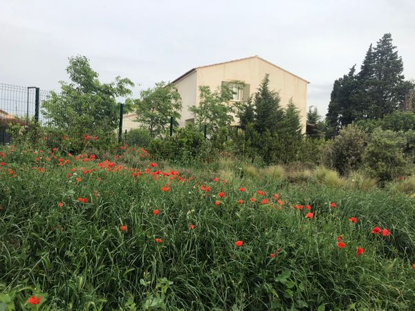 Notre maison est agréable et simple . Elle est orientée plein sud et à une terrasse agréable .