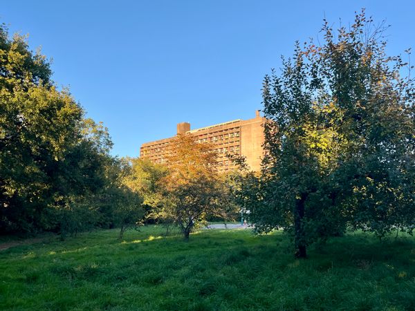 Maison Radieuse Le Corbusier