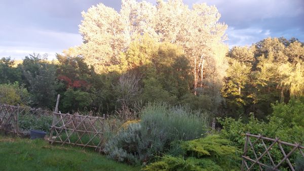 Yourte et maison en terre en pleine nature
