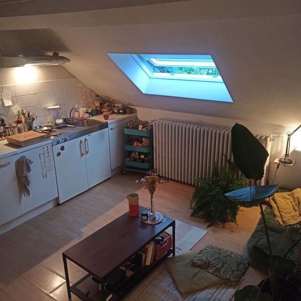 Petit appartement aux allures de cabane dans le haut de Bruxelles