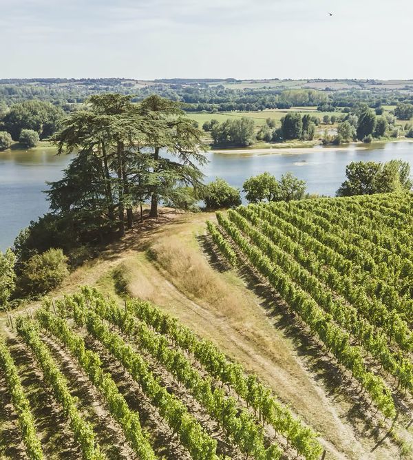 Superbe maison écologique, au coeur d'un village en bord de Loire
