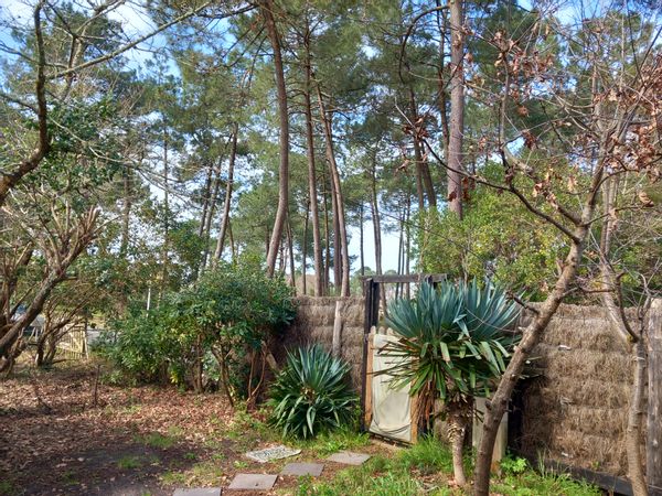 Chalet bois niché sous les chenes, au calme avec entrée et jardin indépedants. Face à la pinède