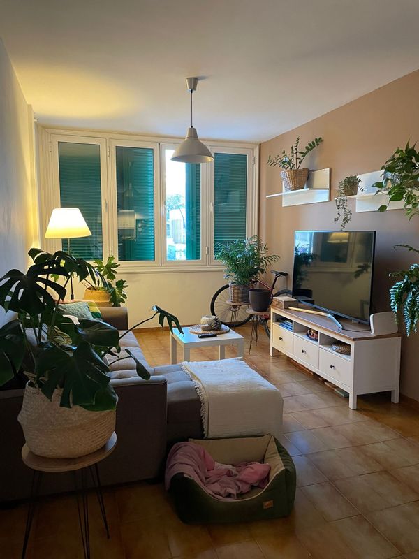 La maison de Luisa