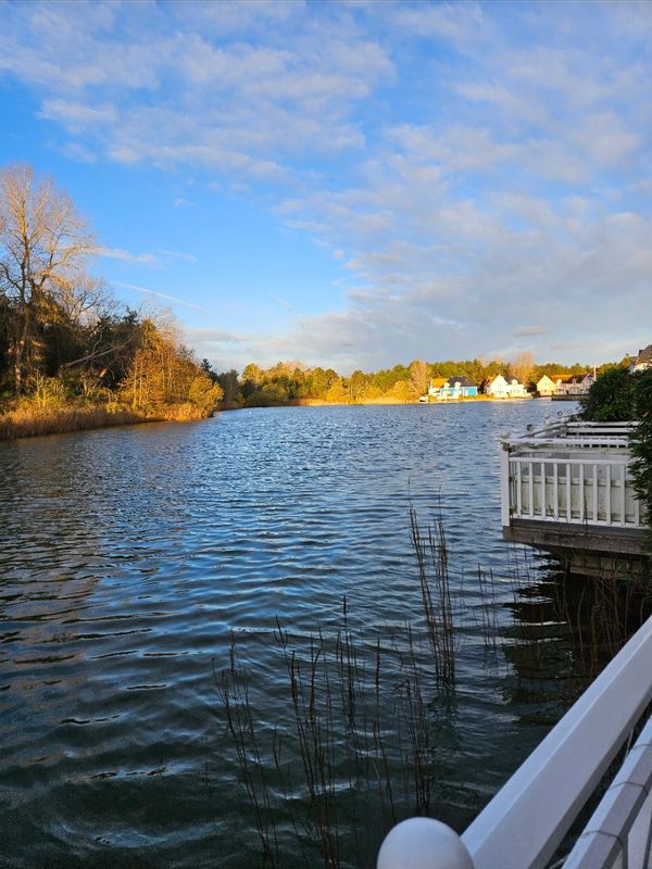 Quiétude et sérénité en bord de lac