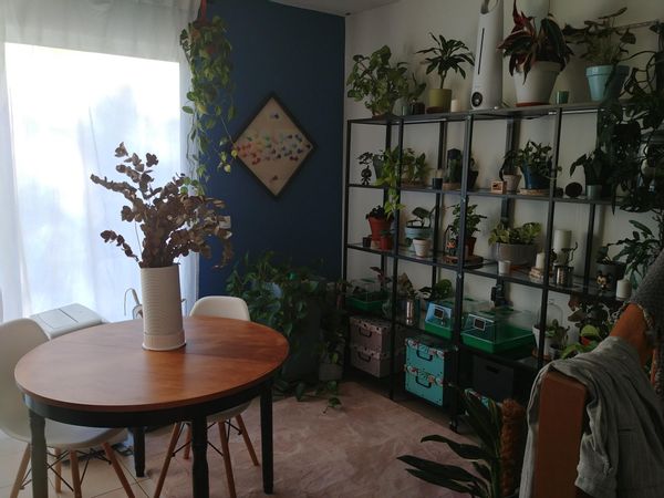 La maison de Kevin