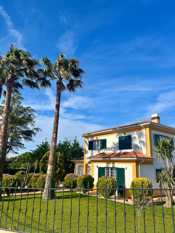 La Maison des Palmiers