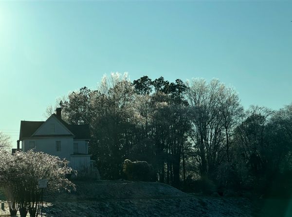 La maison de Chelsea