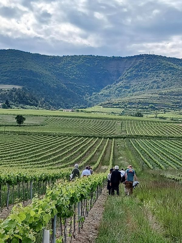 La datcha dans les vignes