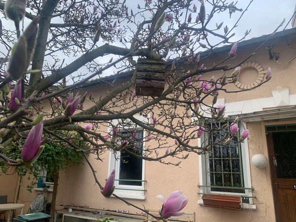 La maison de JULIETTE Petit pavillon mitoyen charmant dans une rue paisible avec jardin et garage