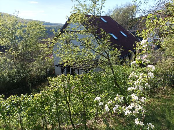 La maison de Louise