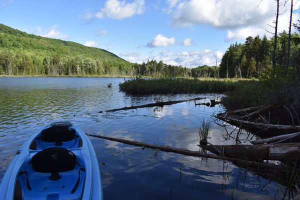 Petit refuge dans les bois