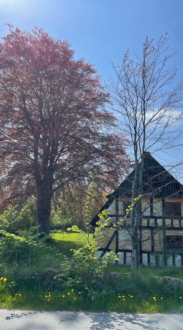 La maison de Tom