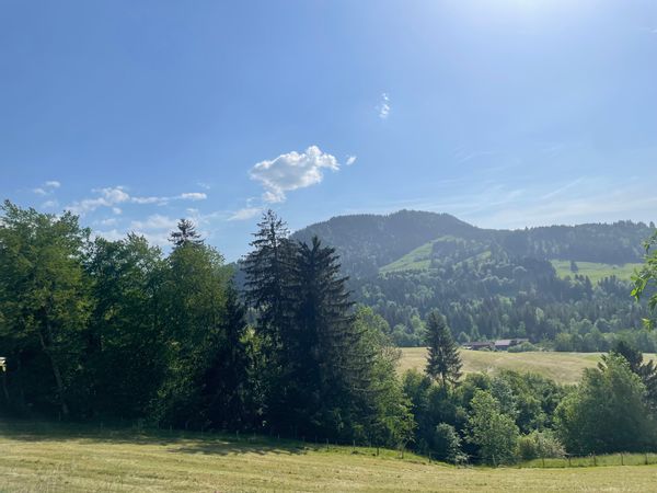 Helle, sonnige 2.5 Zimmer Wohnung im Grünen mit herrlichem Ausblick und Sonnenterrasse.