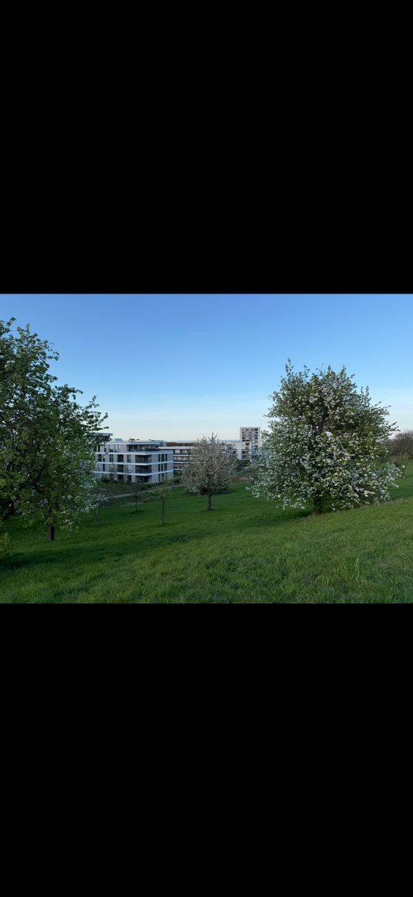 La maison de Emel