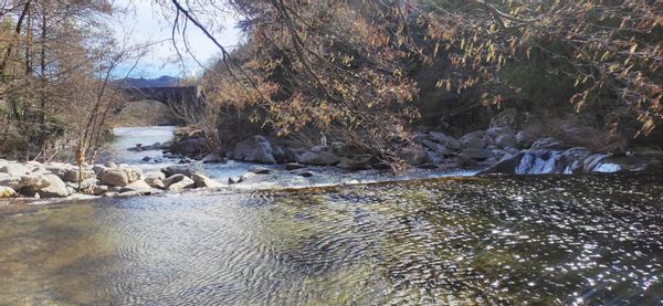 Appartement avec jardin au cœur des Cévennes ✨