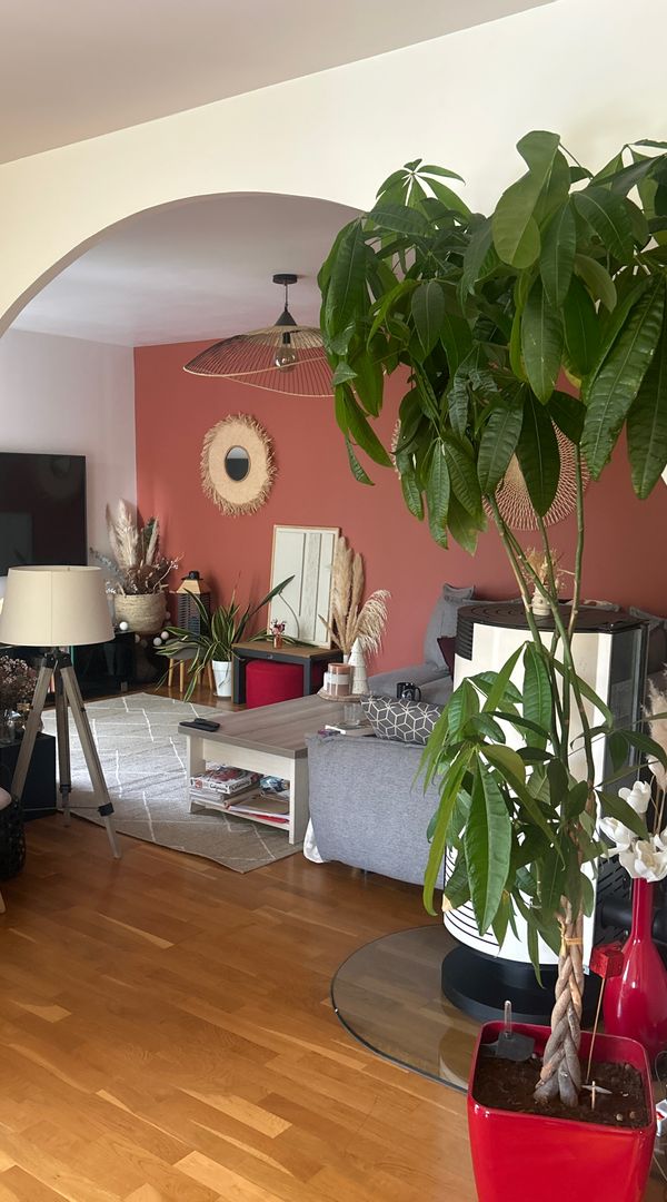 Maison de 105 m2 dans village à proximité du centre de Toulouse avec jardin
