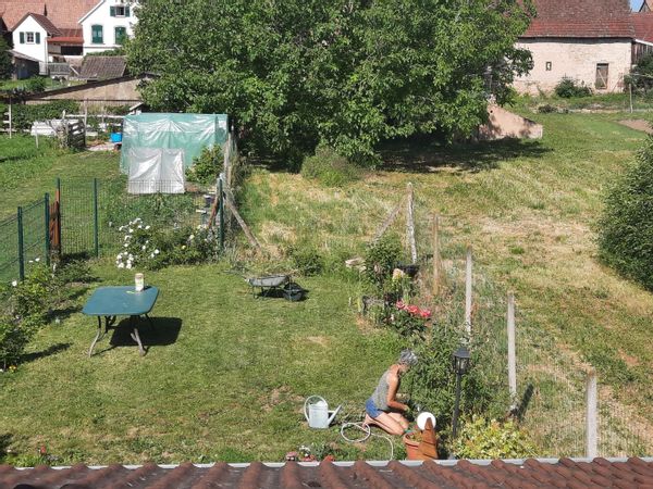 L'écrin de verdure de Pascalette