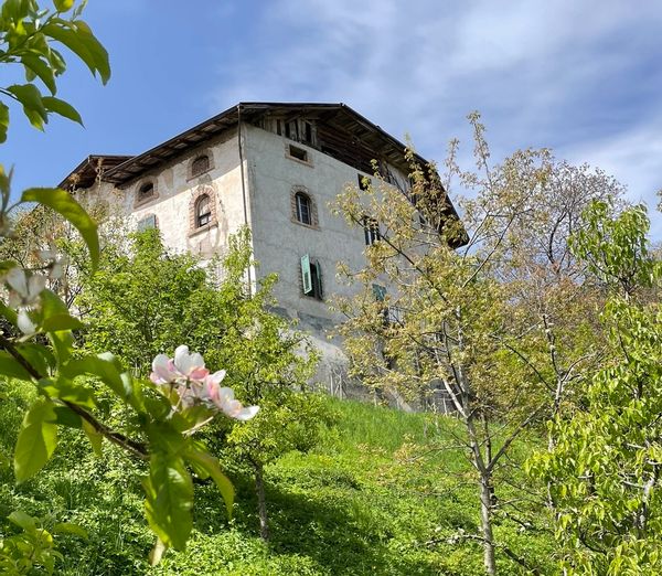 La maison de Stefania