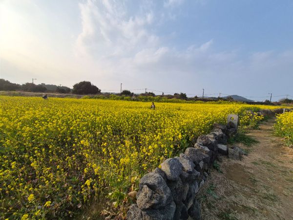 La maison de 샘