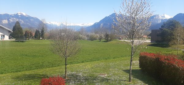 Appartement avec grande terrasse vue montagne. calme, proche gare, avec chat affectueux