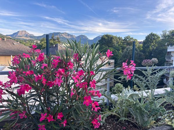 Chez toit là-haut à Chambéry - Triplex familial avec vue montagne
