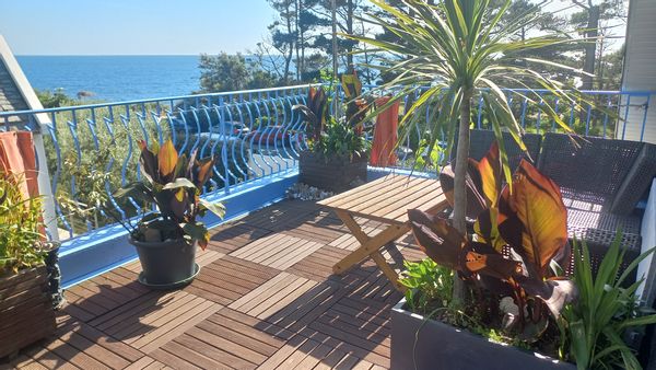 Le petit Paradis de Rachel