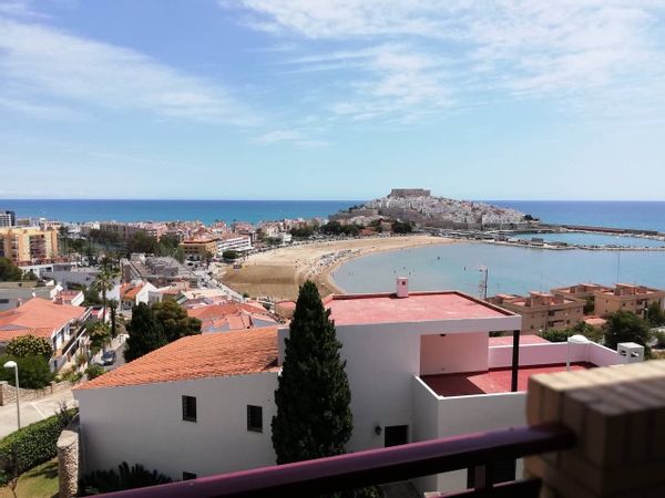 Mirador 44