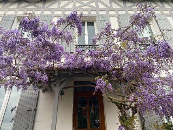 La maison de Dominique. Si près de Paris