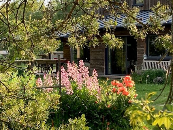 Une chambre en pleine nature