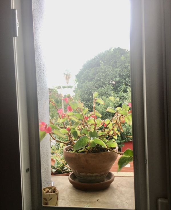 Una piccola casa nel cuore di un quartiere bohémien di Roma e a pochi km (5km) dal centro storico.