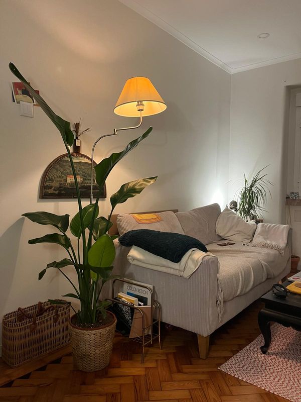 Passez quelques jours dans un appartement calme et ensoleillé à Lisbonne.