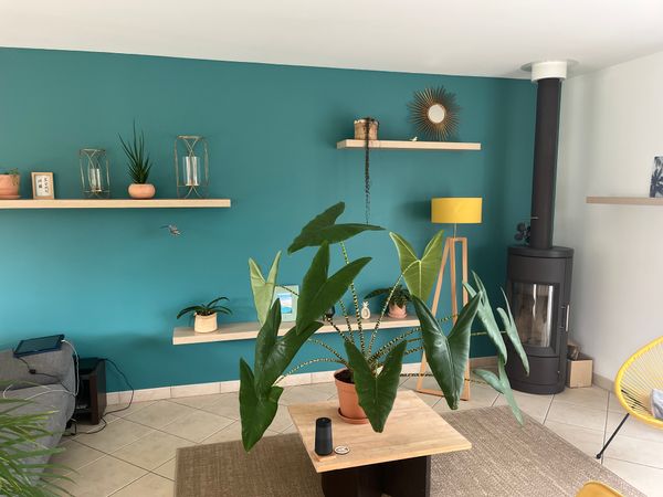 Séjour au calme : maison de plain-pied dans un village paisible