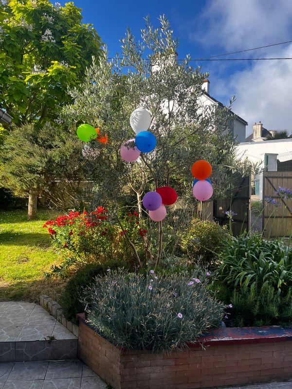 La maison bleue en bois de Larmor Plage