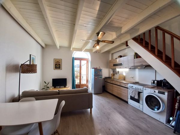 Bel appartement calme en duplex au cœur d'Anse avec vue sur le château des 2 tours