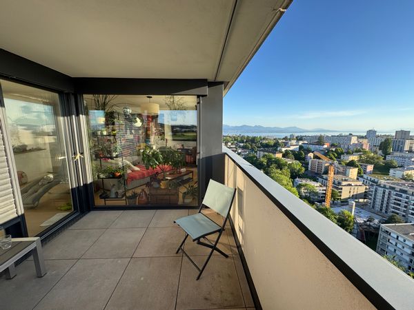 Nid d'aigle sur les hauts de Lausanne