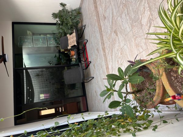 La maison de Ilene