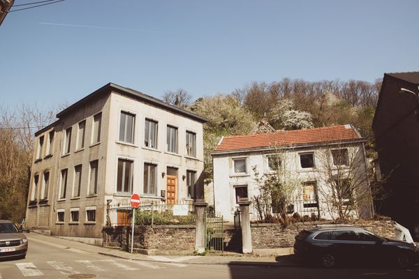 Grande maison très lumineuse en pleine verdure mais au cœur de la ville!