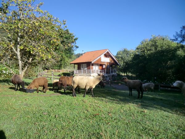La maison de Reginaldo