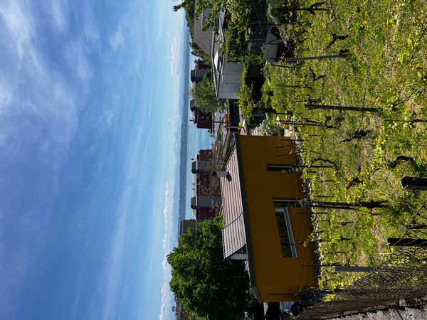 Maison exceptionnelle de 160 m2 avec un grand jardin en terrasse de 690 m2 et parfaitement situé