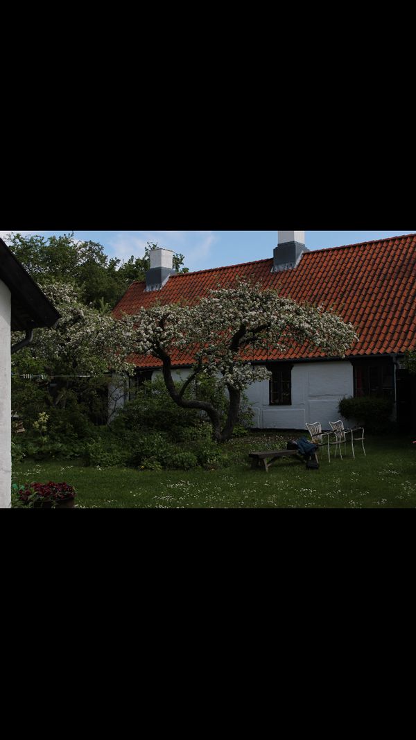 La maison de Maja