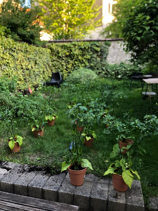 La chambre privée de Seraphin, dans un chouette quartier calme avec tout ce dont on a besoin autour!