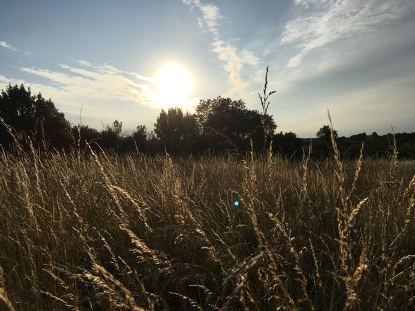 Grande maison dans un écrin de nature, à 15 minutes de l’océan.