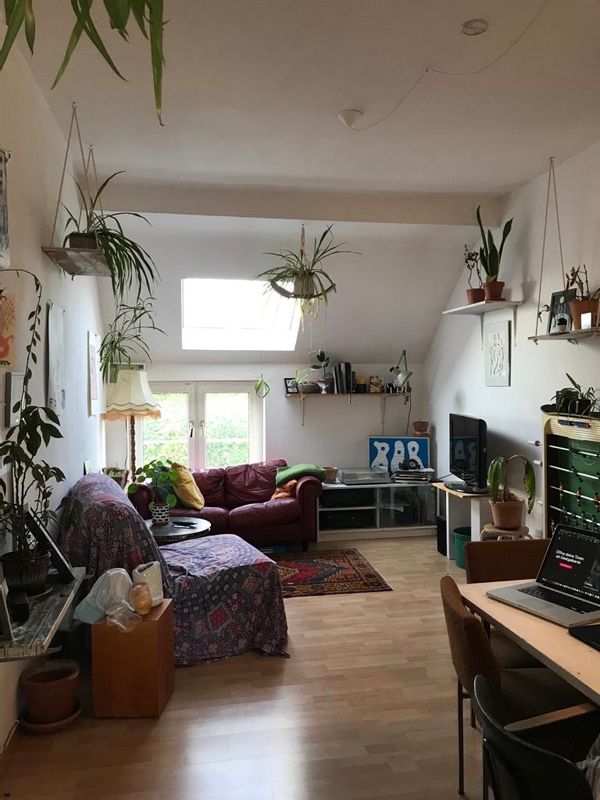 La maison de Timo
