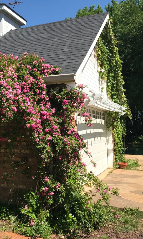 La maison de Elise