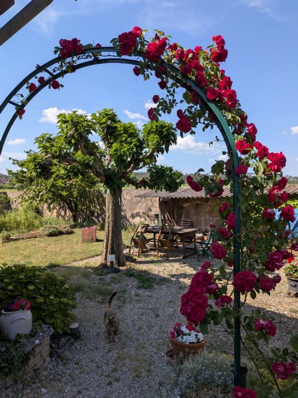 Au cœur des vignes