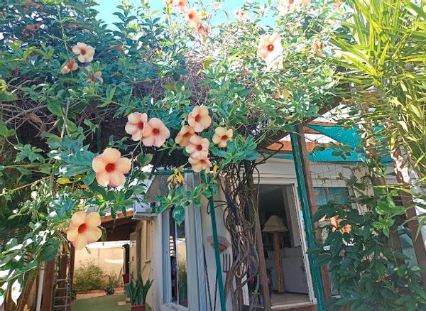 La Réunion sous le soleil des tropiques