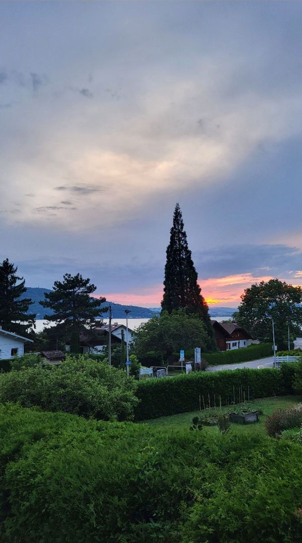 Superbe maison au pied du lac -  Veyrier-du-Lac (Ouvert pour un échange vacances automne 2025)