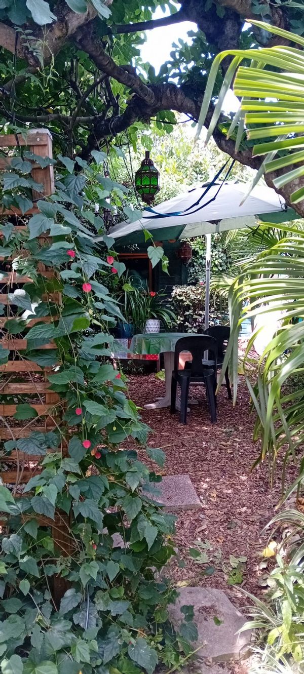 Petite maison chaleureuse avec jardin luxuriant sans vis à vis! Proche du centre de Bordeaux.