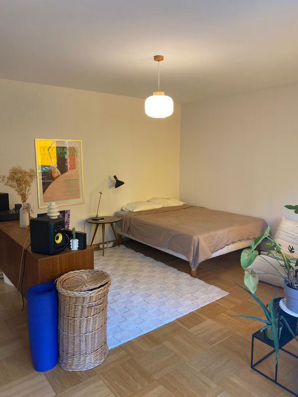 Cosy apartment in Geneva – lake, parks & city life at your doorstep