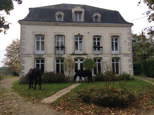 Chez Eli – Maison de charme et d’authenticité à Saint-Georges-les-Baillargeaux